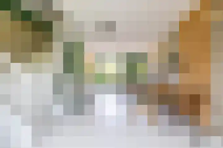 Eelkemastraat 52 Groningen thumbnail 14