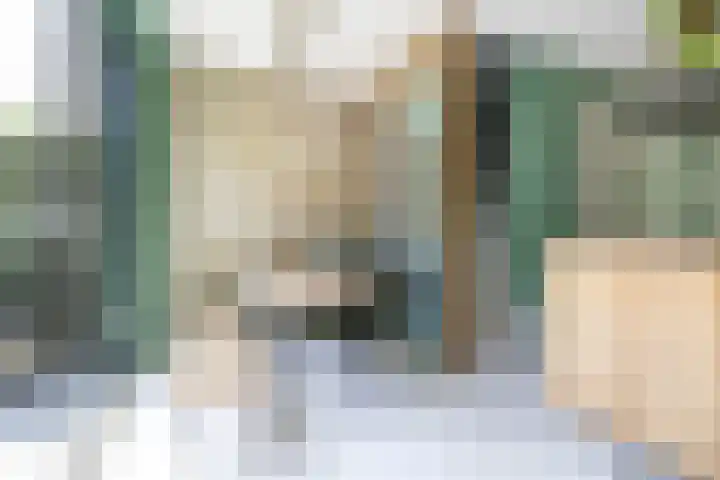 Eelkemastraat 52 Groningen thumbnail 9