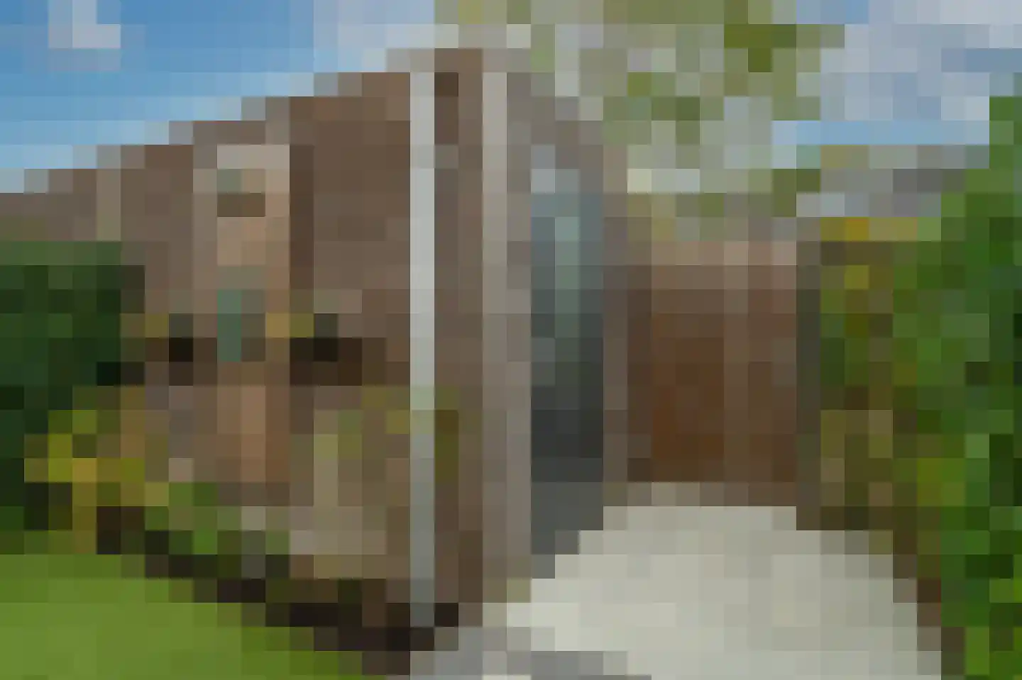 Eelkje Timmengastraat 12 Vught thumbnail 18