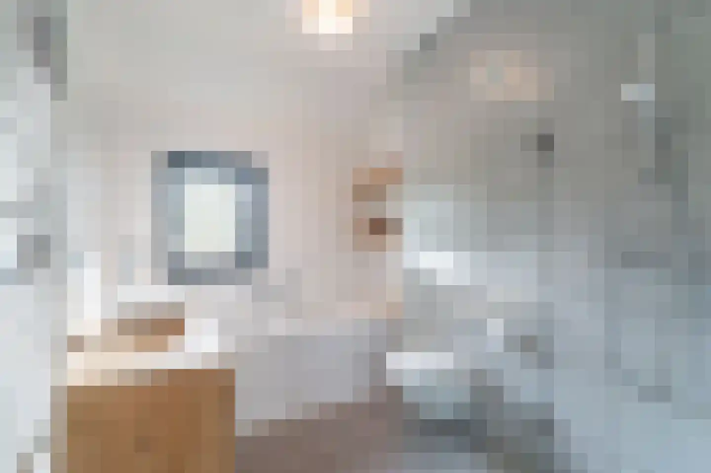 Eelkje Timmengastraat 12 Vught thumbnail 32