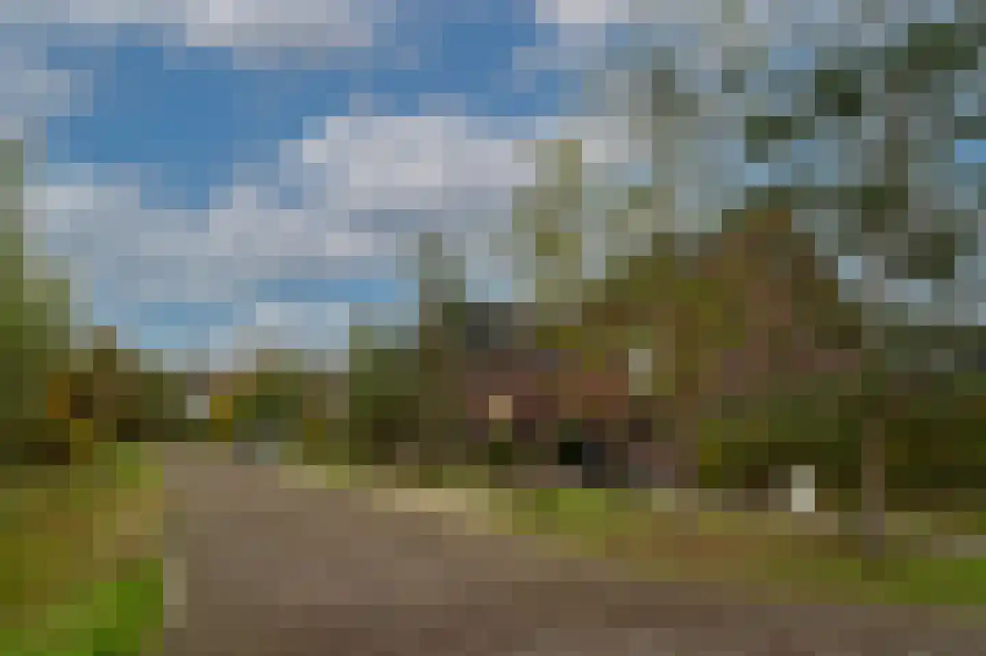 Eelkje Timmengastraat 12 Vught thumbnail 46