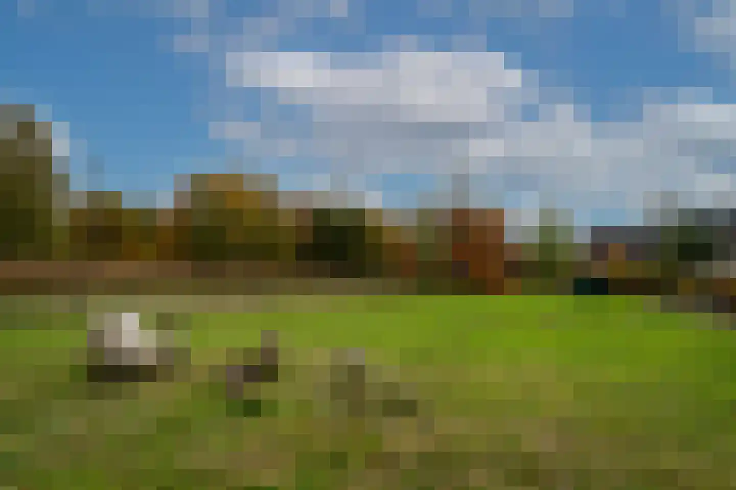 Eelkje Timmengastraat 12 Vught thumbnail 47
