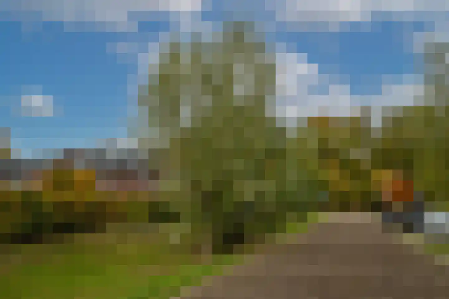 Eelkje Timmengastraat 12 Vught thumbnail 48
