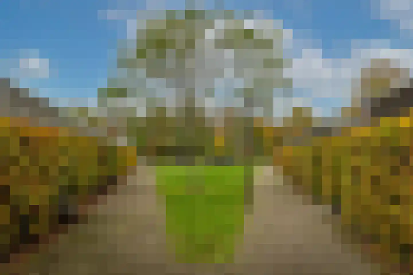 Eelkje Timmengastraat 12 Vught thumbnail 49