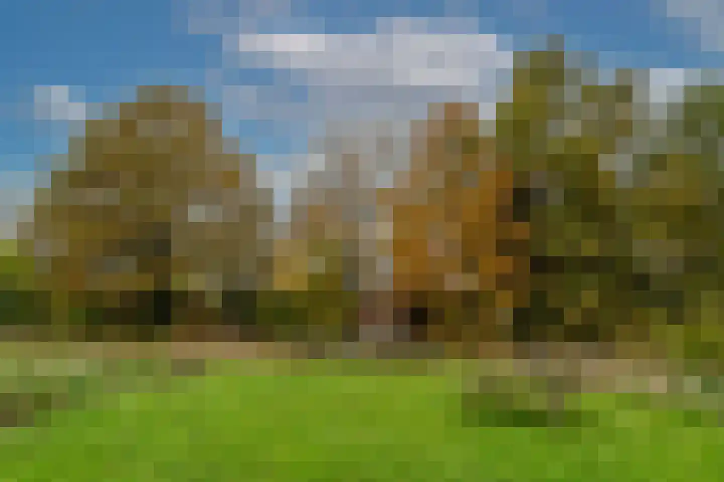 Eelkje Timmengastraat 12 Vught thumbnail 54