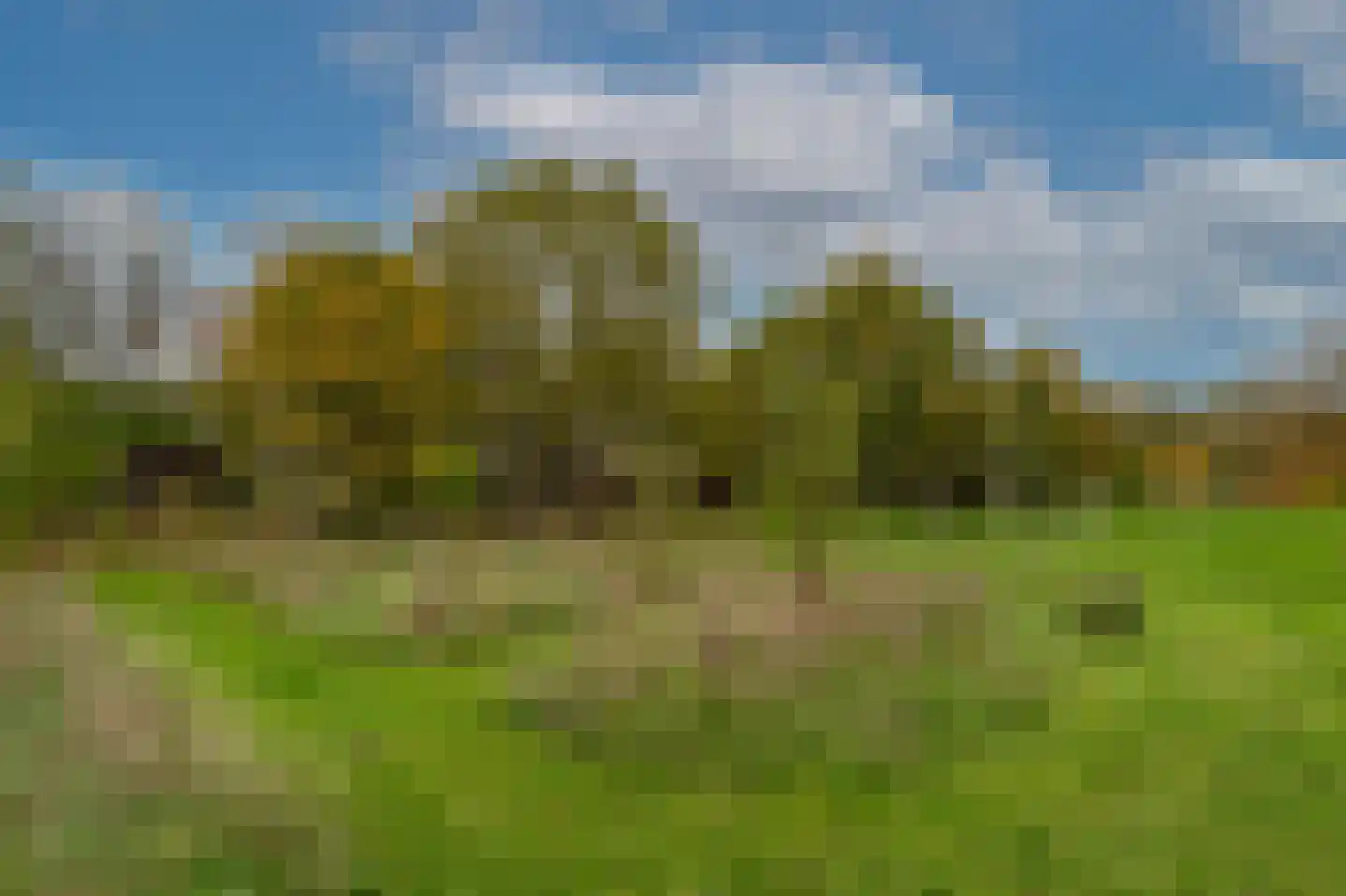 Eelkje Timmengastraat 12 Vught thumbnail 55