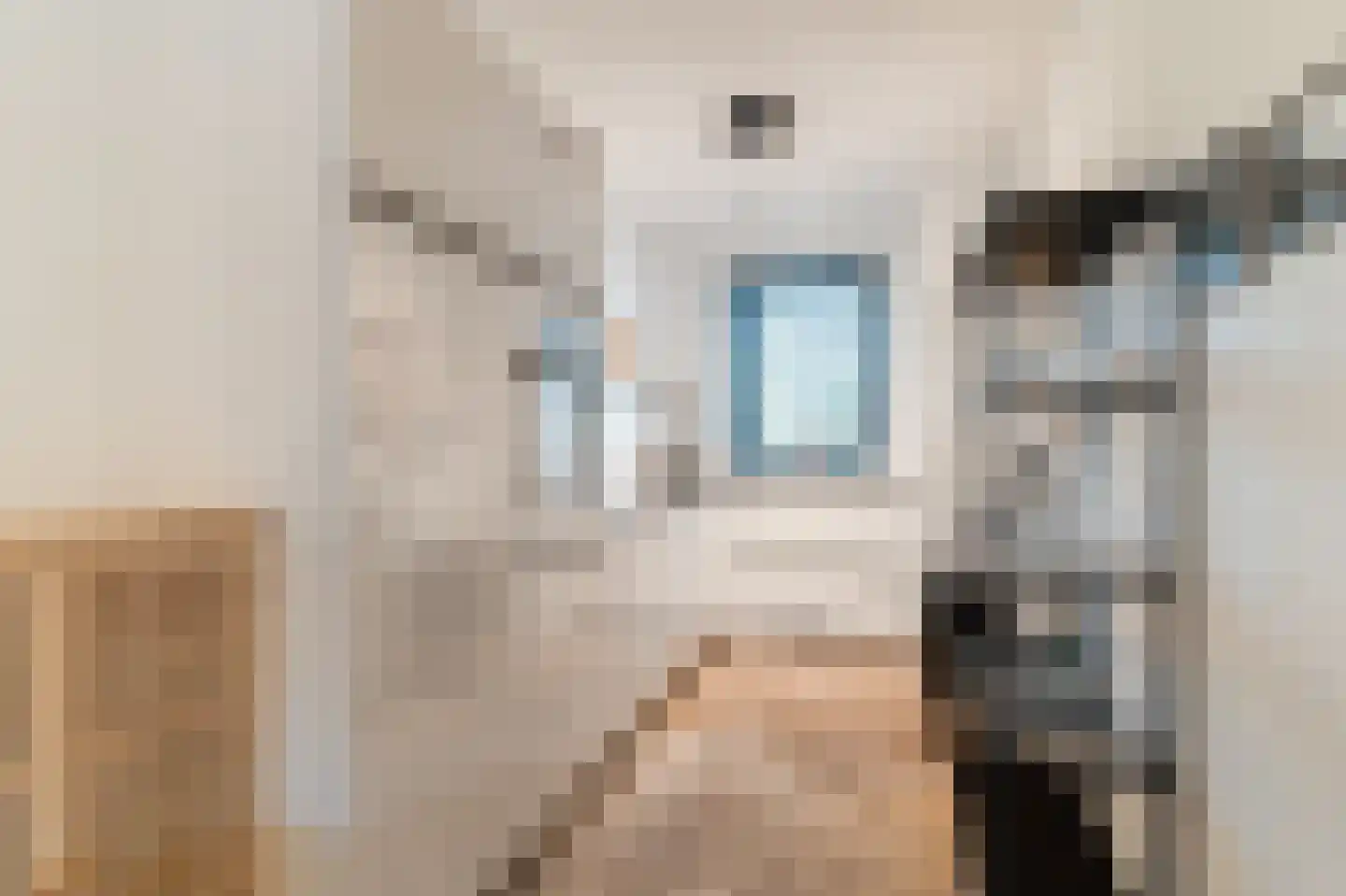 Eelkje Timmengastraat 12 Vught thumbnail 6
