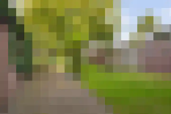 Eelserstraat 5 Beringe thumbnail 37