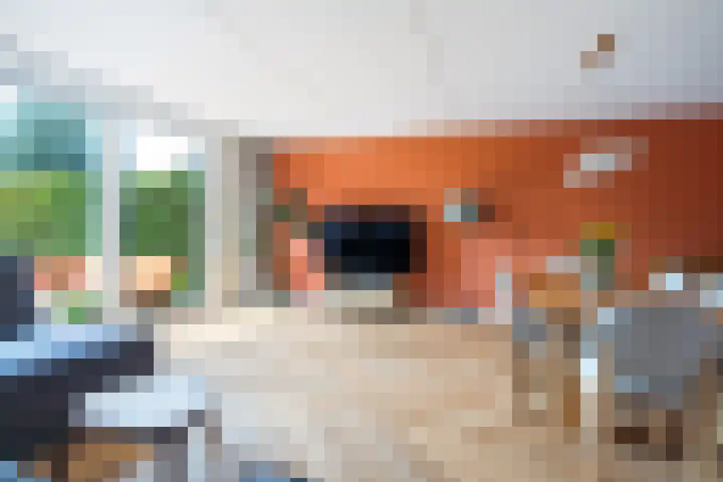 Eelsmastate 26 Leeuwarden thumbnail 10