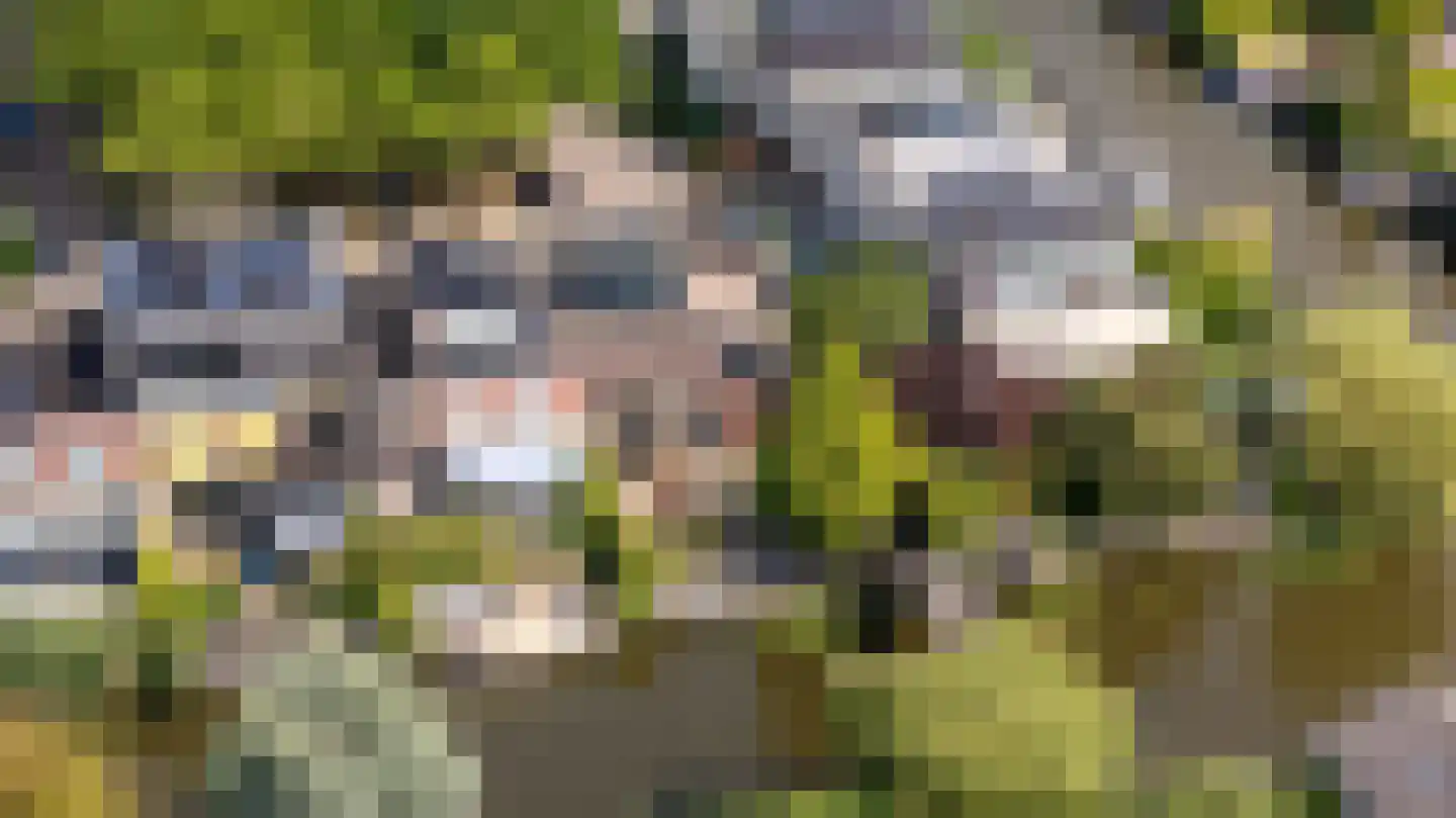 Eelsmastate 26 Leeuwarden thumbnail 20