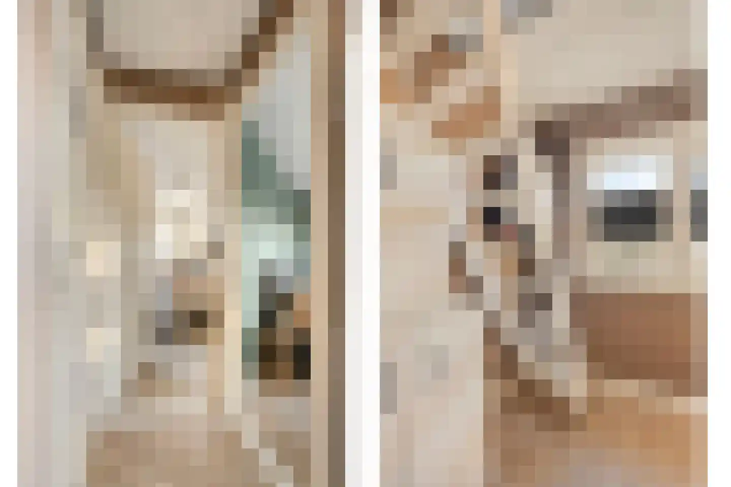 Eeltje Halbertsmastraat 10 Sneek thumbnail 12