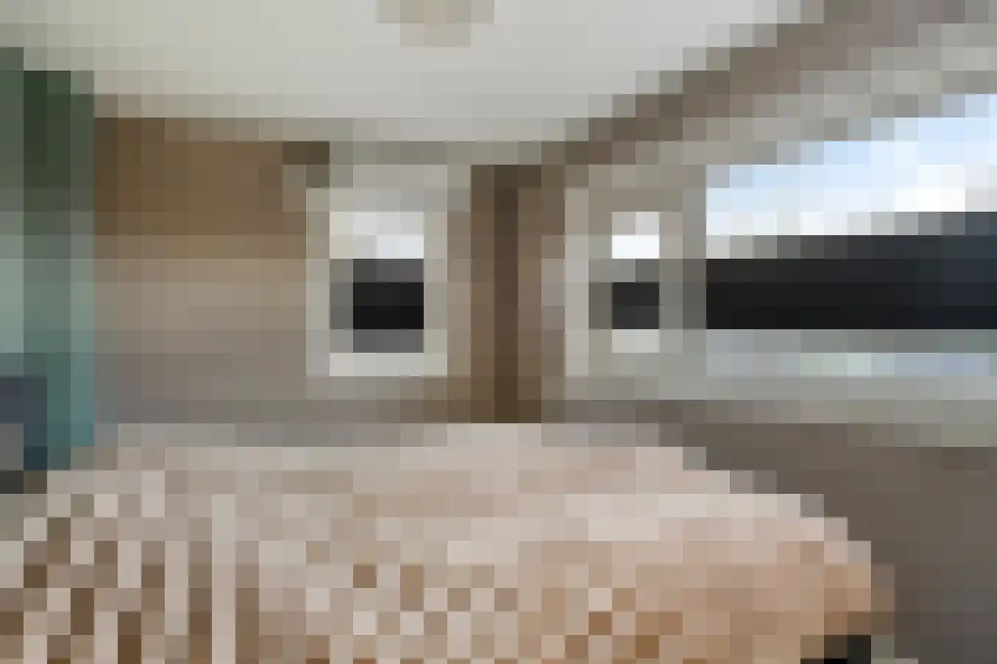 Eeltje Halbertsmastraat 10 Sneek thumbnail 13