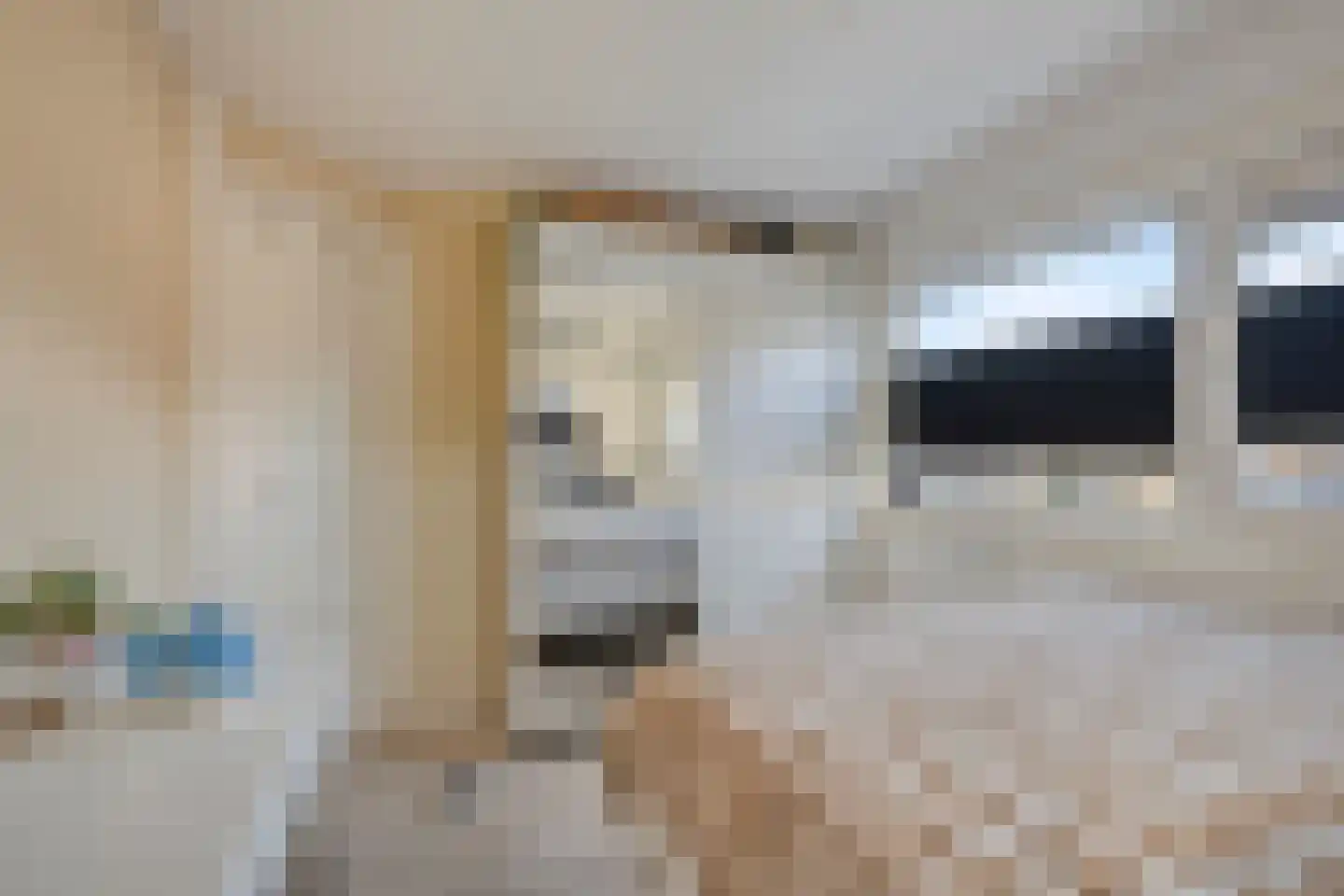 Eeltje Halbertsmastraat 10 Sneek thumbnail 14