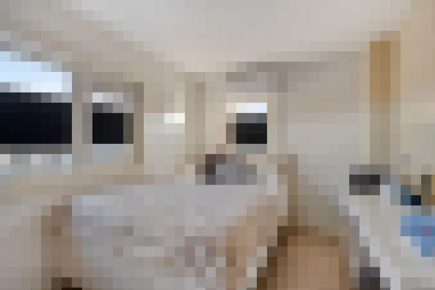 Eeltje Halbertsmastraat 10 Sneek thumbnail 15