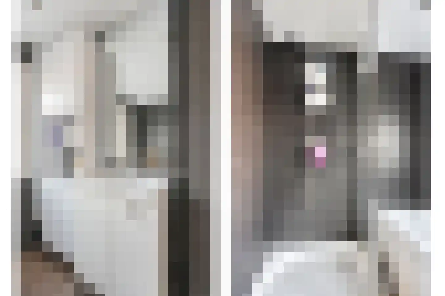 Eeltje Halbertsmastraat 10 Sneek thumbnail 17