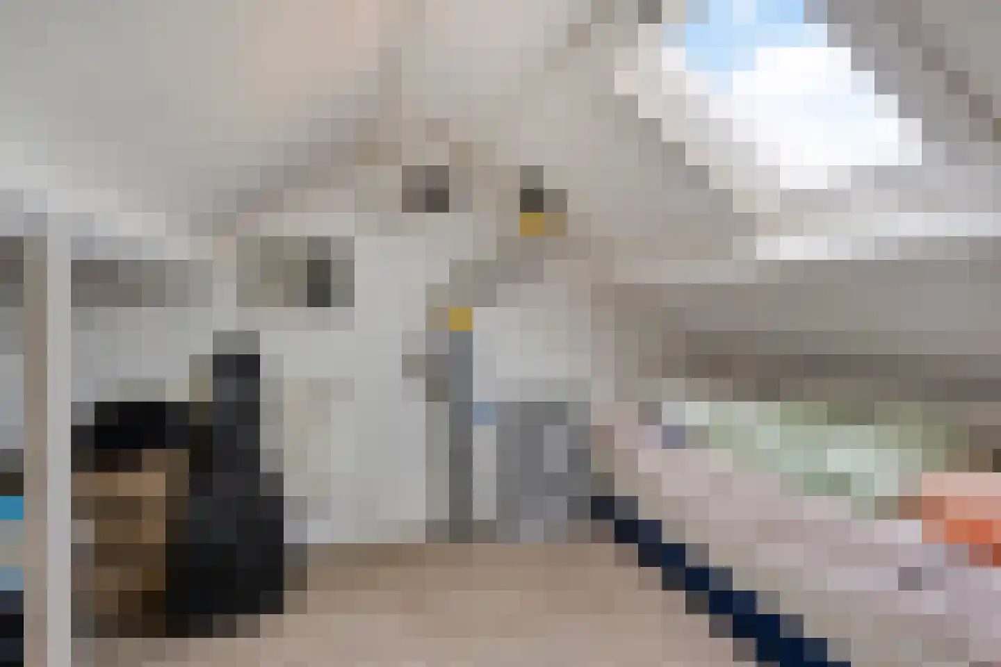 Eeltje Halbertsmastraat 10 Sneek thumbnail 18