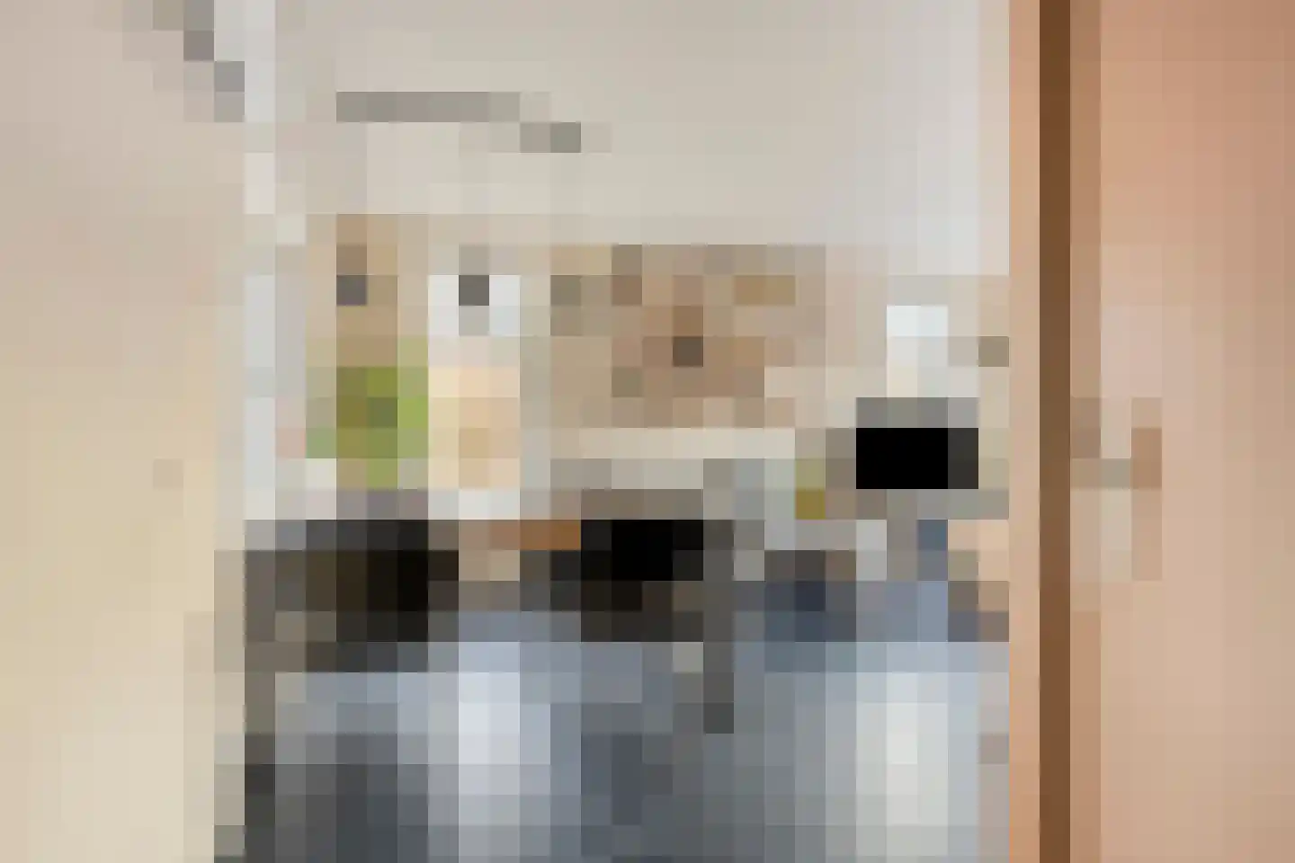 Eeltje Halbertsmastraat 10 Sneek thumbnail 4