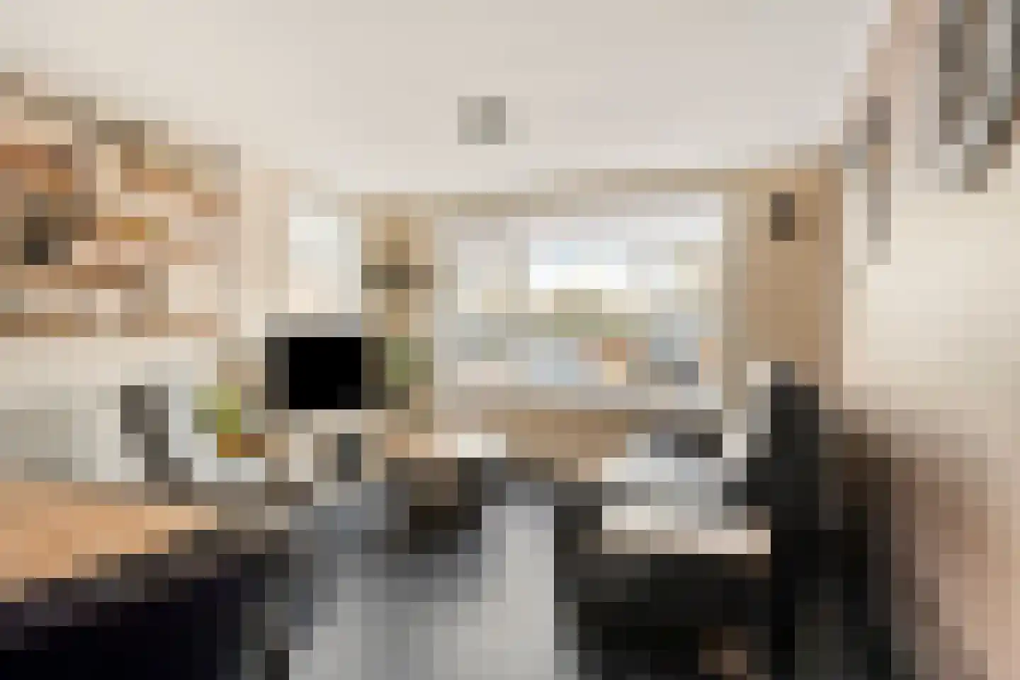 Eeltje Halbertsmastraat 10 Sneek thumbnail 5