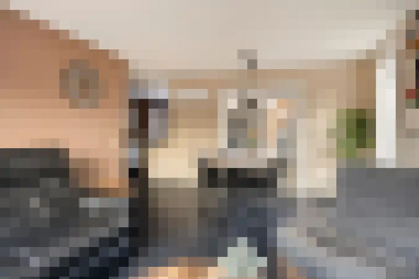 Eeltje Halbertsmastraat 10 Sneek thumbnail 6
