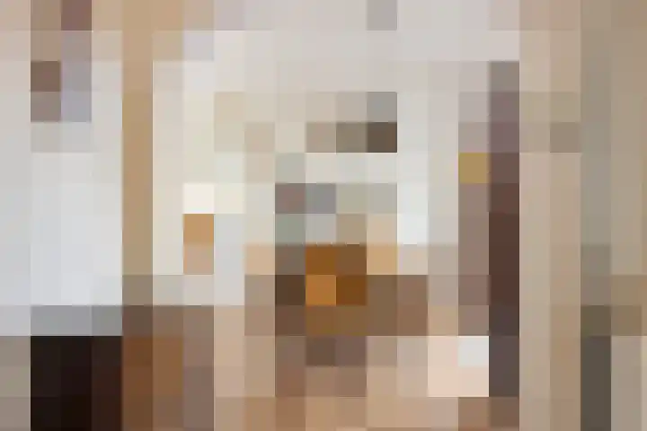 Eeltje Halbertsmastraat 37 Sneek thumbnail 10