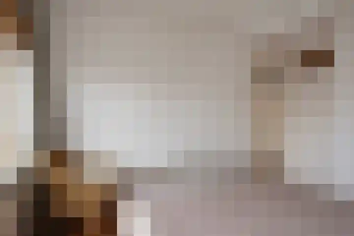 Eeltje Halbertsmastraat 37 Sneek thumbnail 18