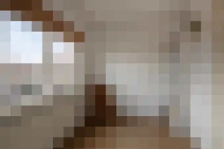 Eeltje Halbertsmastraat 37 Sneek thumbnail 22
