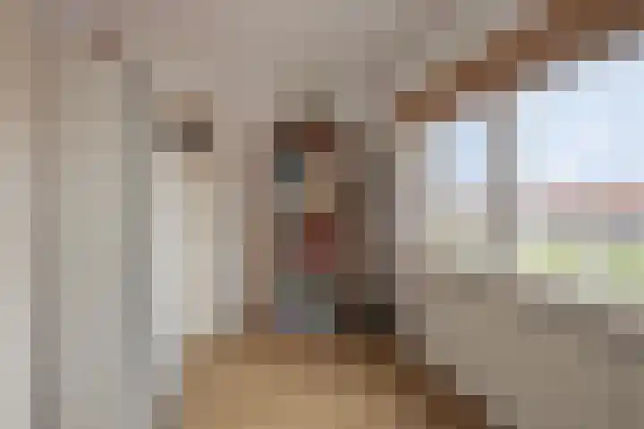 Eeltje Halbertsmastraat 37 Sneek thumbnail 23