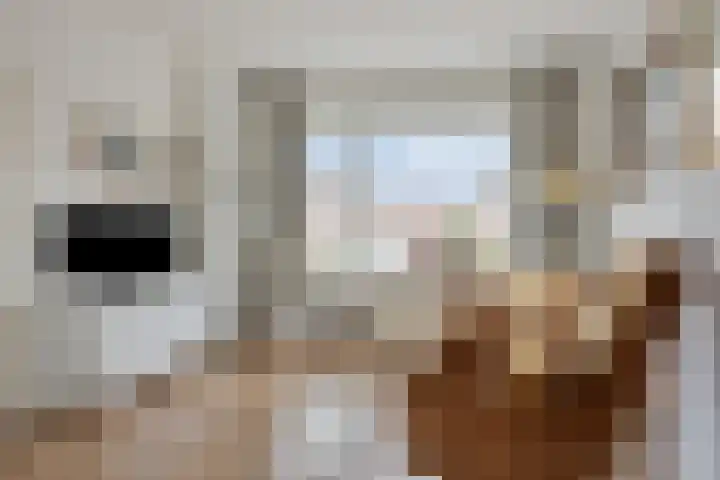 Eeltje Halbertsmastraat 37 Sneek thumbnail 4