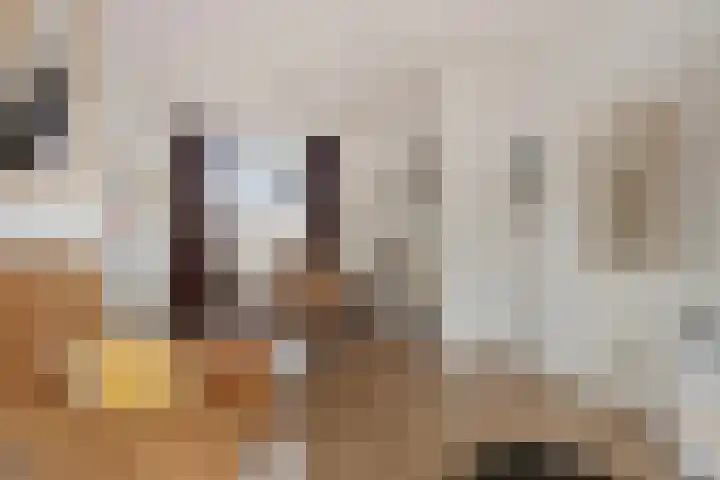 Eeltje Halbertsmastraat 37 Sneek thumbnail 5