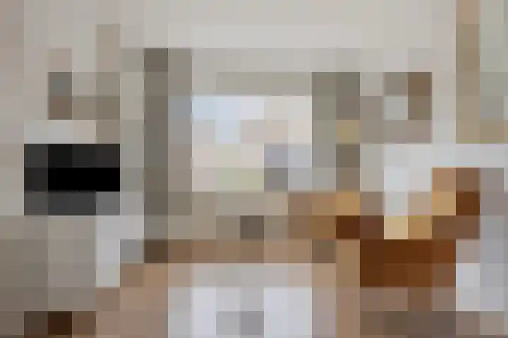 Eeltje Halbertsmastraat 37 Sneek thumbnail 7