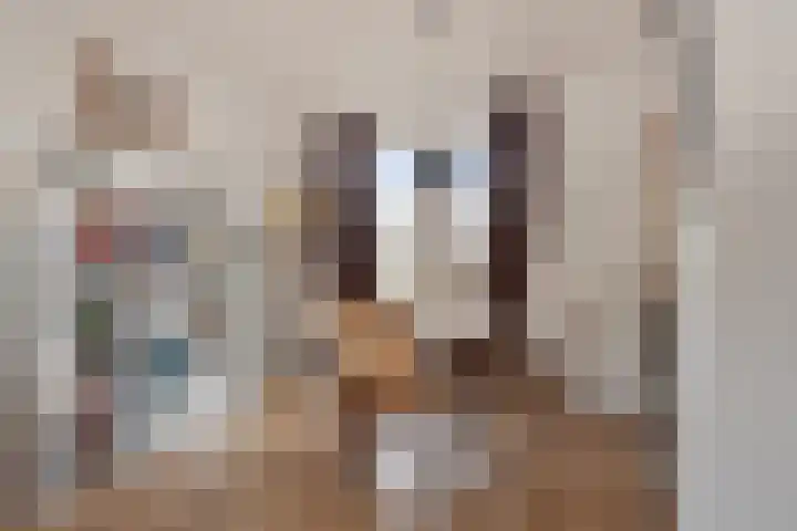 Eeltje Halbertsmastraat 37 Sneek thumbnail 8