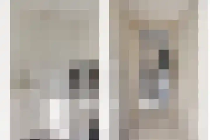 Eeltsjebaes 18 Joure thumbnail 12