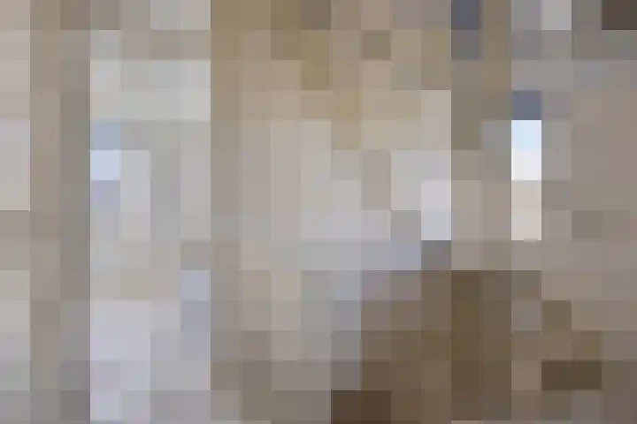 Eeltsjebaes 18 Joure thumbnail 13