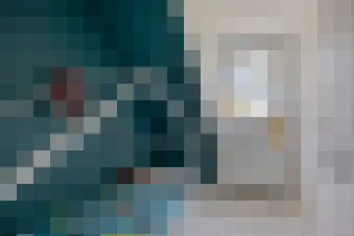 Eeltsjebaes 18 Joure thumbnail 14