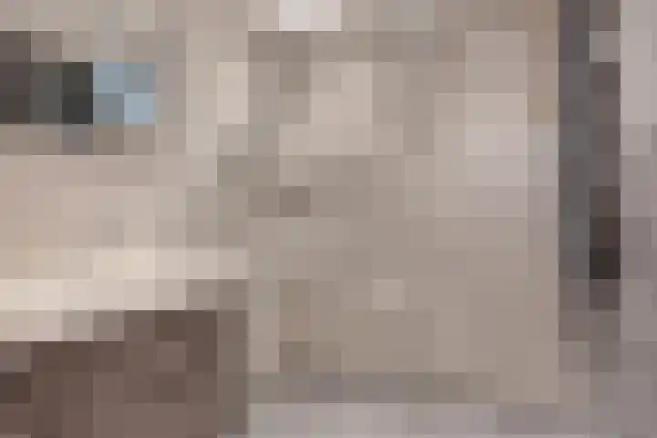 Eeltsjebaes 18 Joure thumbnail 19