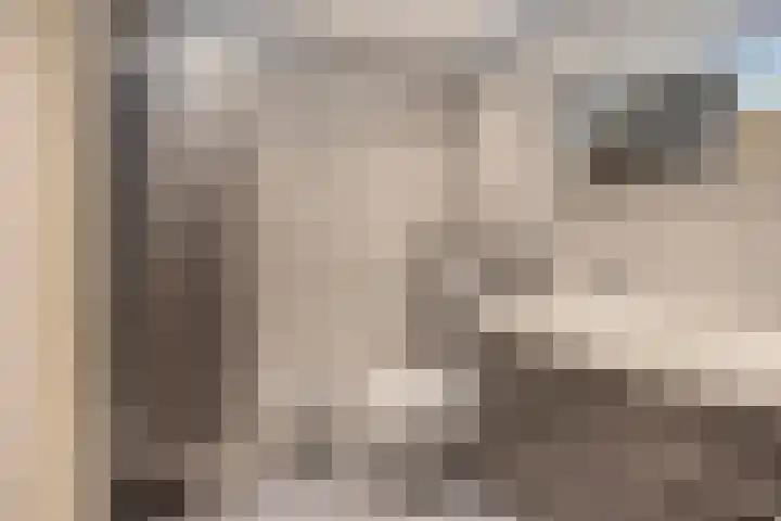 Eeltsjebaes 18 Joure thumbnail 20