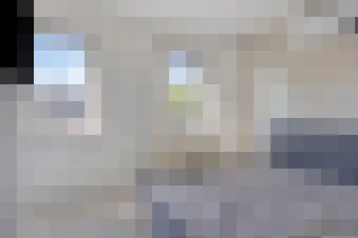 Eeltsjebaes 18 Joure thumbnail 22
