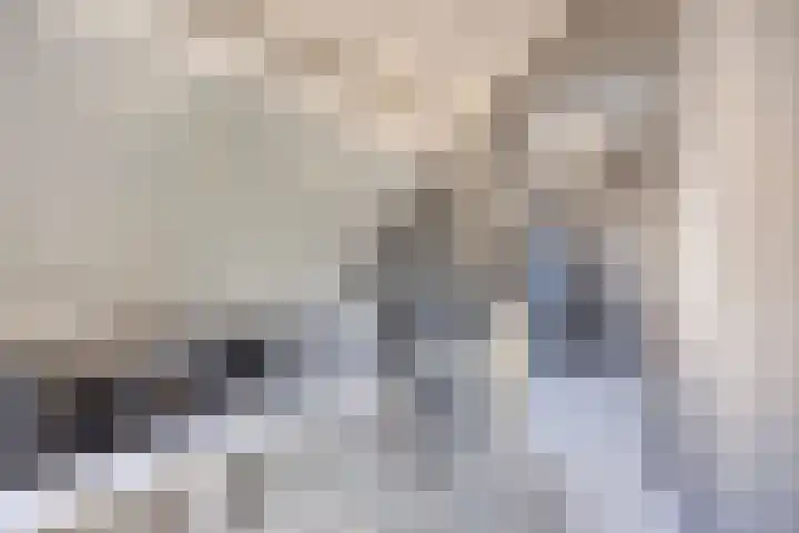 Eeltsjebaes 18 Joure thumbnail 26