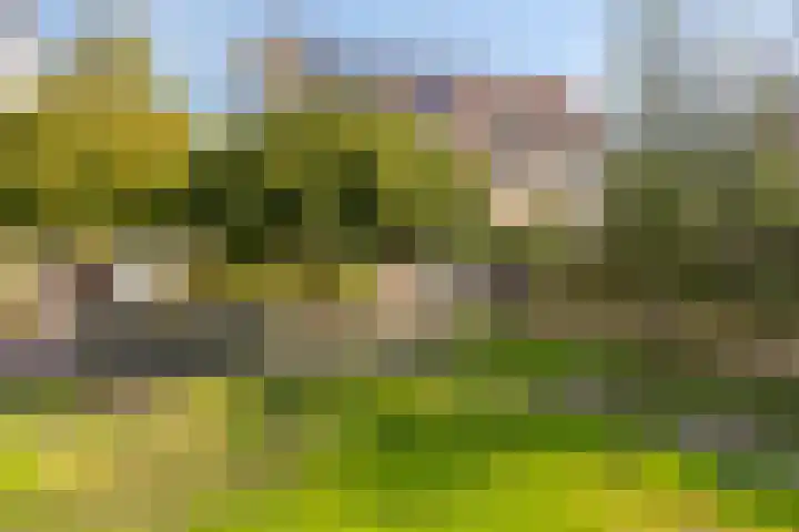 Eeltsjebaes 18 Joure thumbnail 29