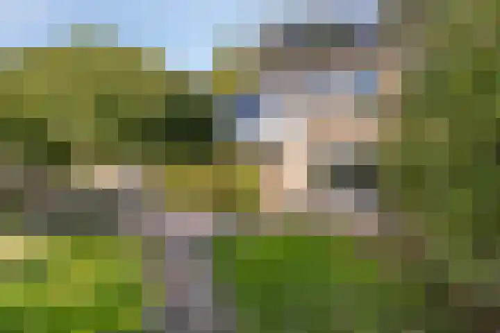Eeltsjebaes 18 Joure thumbnail 30
