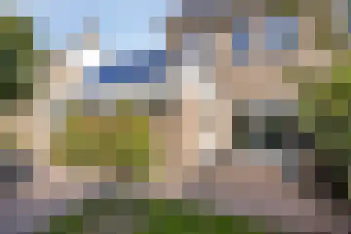 Eeltsjebaes 18 Joure thumbnail 31