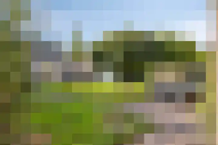 Eeltsjebaes 18 Joure thumbnail 32