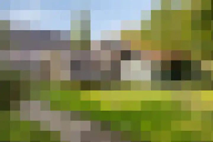 Eeltsjebaes 18 Joure thumbnail 33