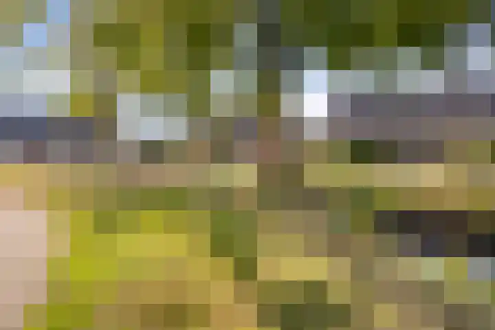 Eeltsjebaes 18 Joure thumbnail 35