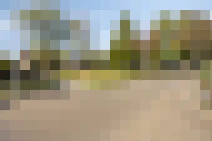 Eeltsjebaes 18 Joure thumbnail 39