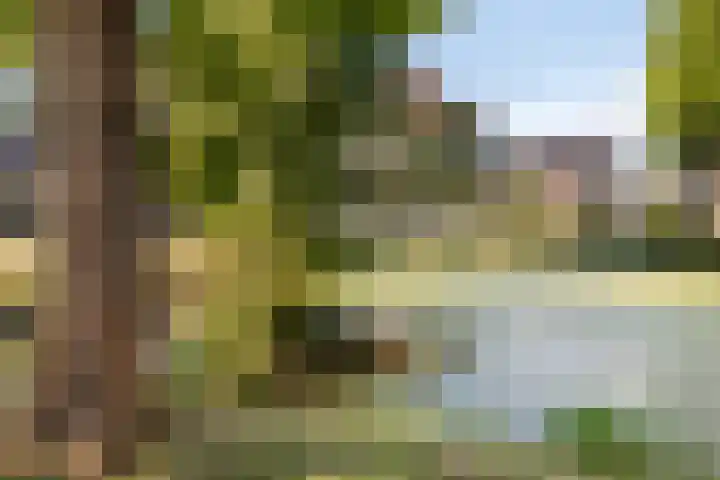 Eeltsjebaes 18 Joure thumbnail 40