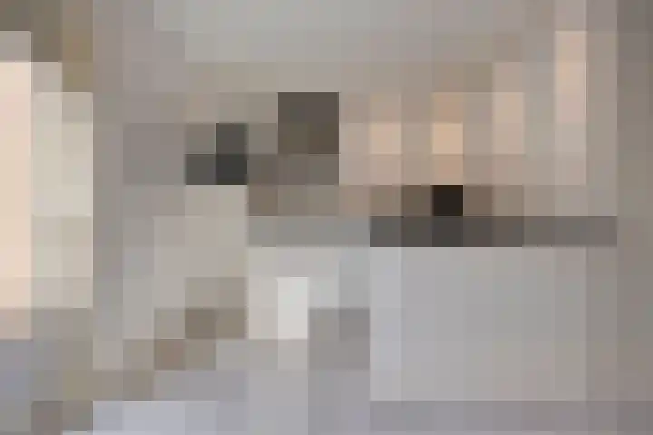 Eeltsjebaes 18 Joure thumbnail 7