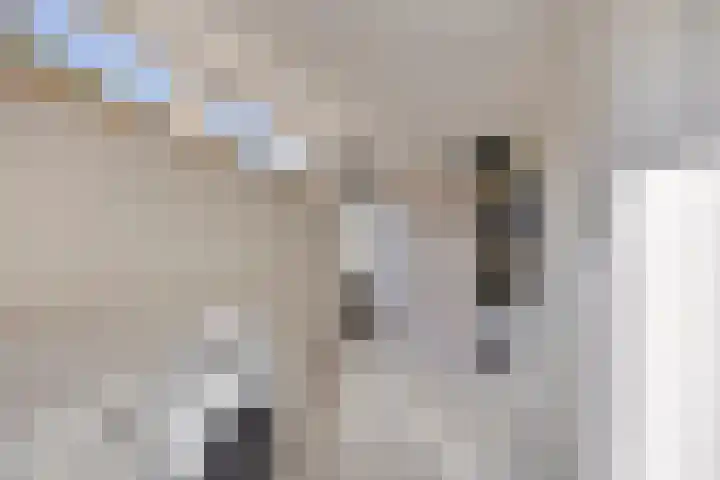 Eeltsjebaes 18 Joure thumbnail 9