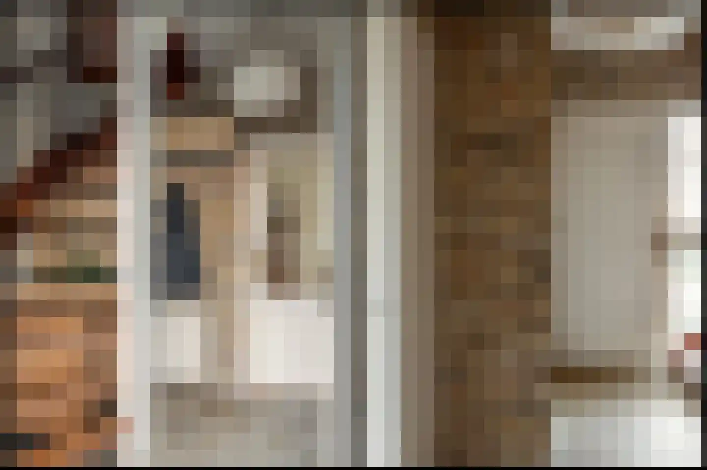 Eeltsjebaes 74 Joure thumbnail 14