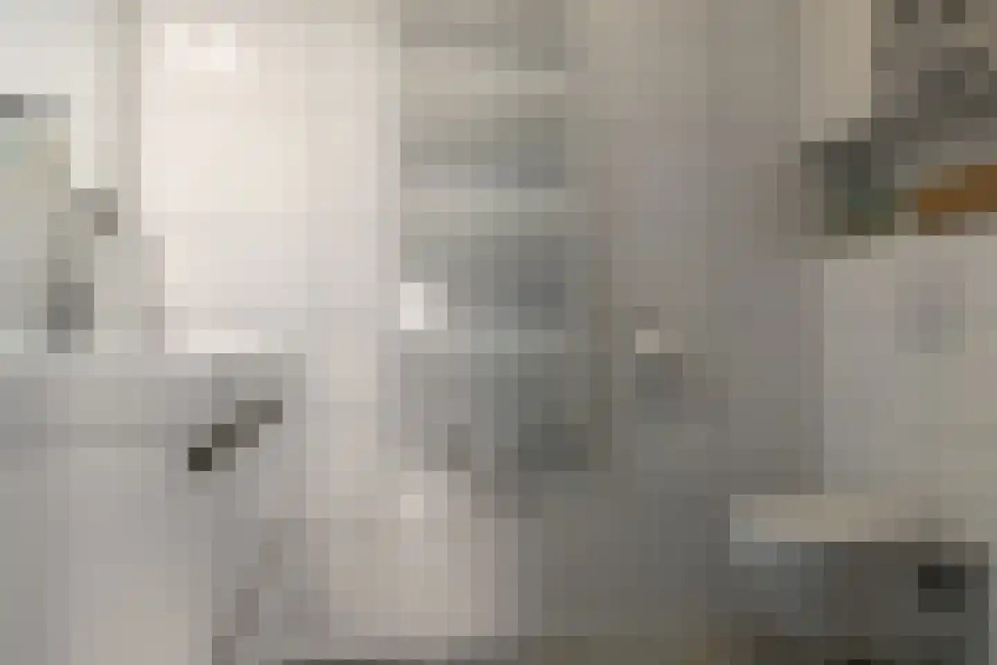 Eeltsjebaes 74 Joure thumbnail 22